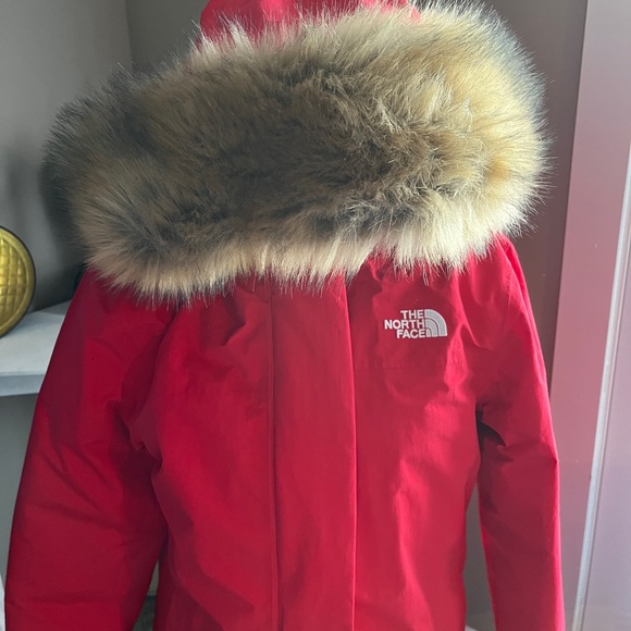 The North Face Jackets & Blazers - The North Face Parka